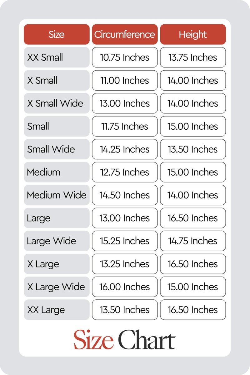 HORZE Amara Adult Equestrian Half Chaps | Synthetic Leather Zip-Up Pair | Accurate Size Chart in Images - Black - XS - Image 3